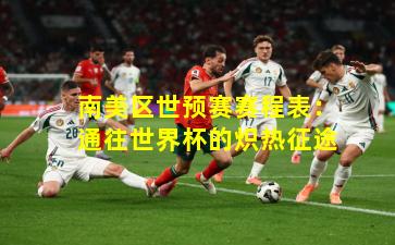 南美区世预赛赛程表：通往世界杯的炽热征途