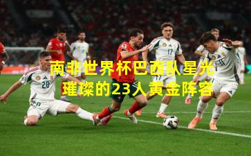 南非世界杯巴西队星光璀璨的23人黄金阵容