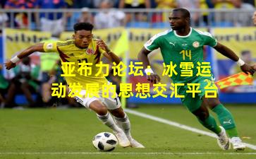 亚布力论坛：冰雪运动发展的思想交汇平台