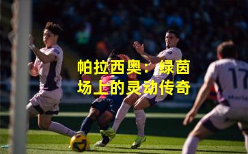 帕拉西奥：绿茵场上的灵动传奇